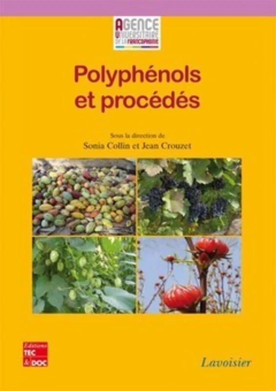 Polyphénols et procédés: Transformation des polyphénols au travers des procédés appliqués à l'agroalimentaire