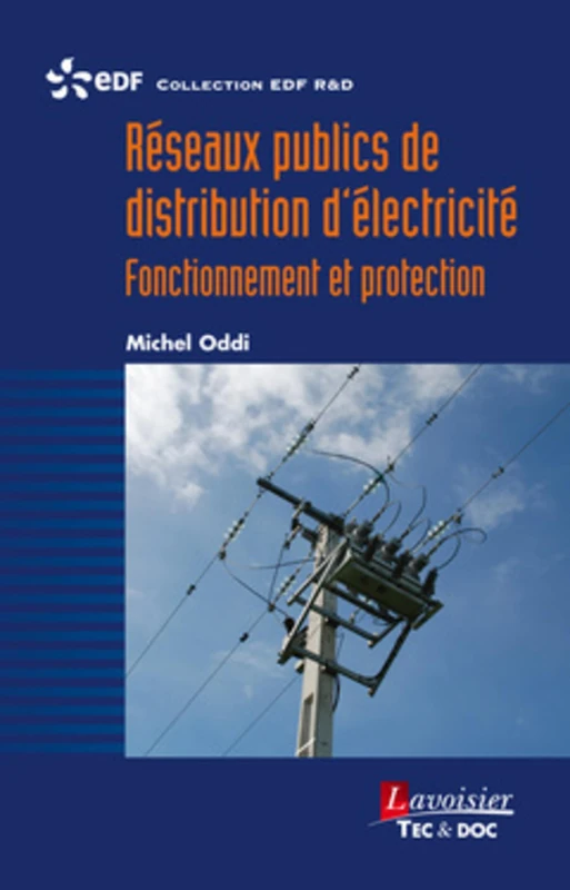Reseaux publics de distribution d'electricite - TEC ET DOC