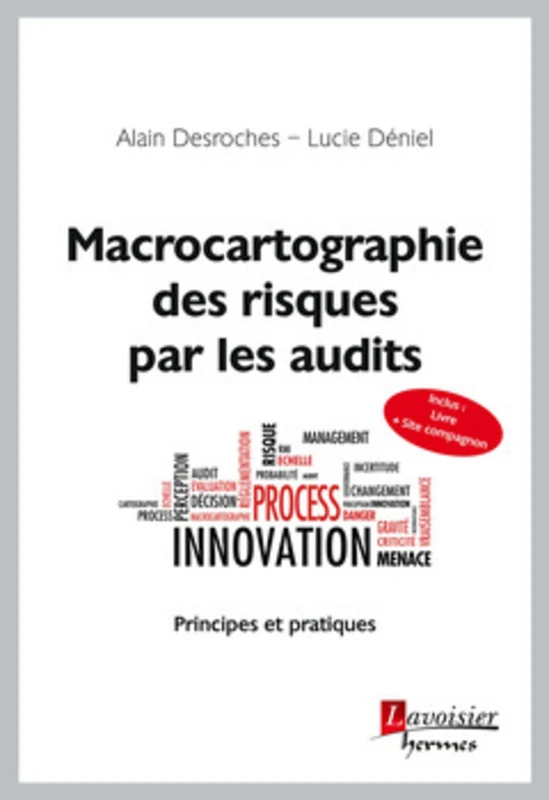 Macrocartographie des risques par les audits: Principes et pratiques