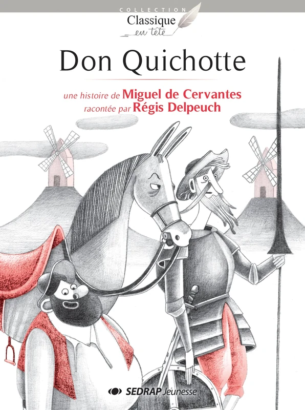 DON QUICHOTTE - LOT DE 25 ROMANS + FICHIER