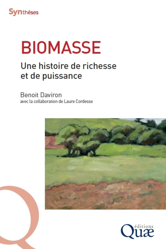 Biomasse: Une histoire de richesse et de puissance - Image 1