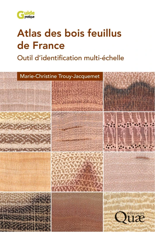 Atlas des bois feuillus de France: Outil d'identification multi-échelle - Image 1