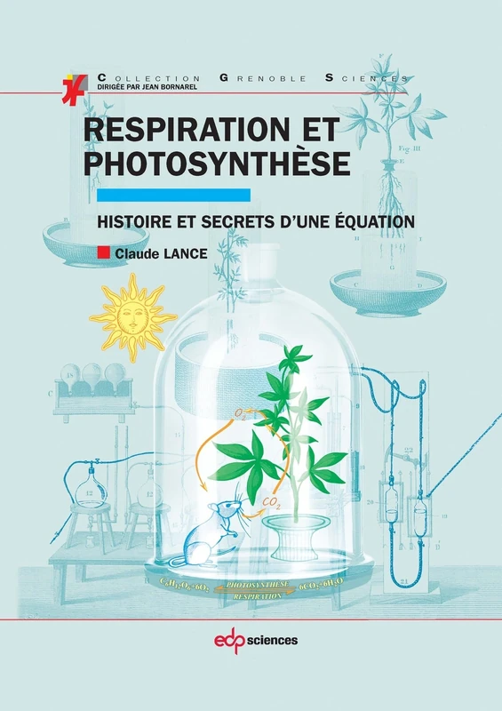 Respiration et photosynthèse: Histoire et secrets d'une équation - Image 1