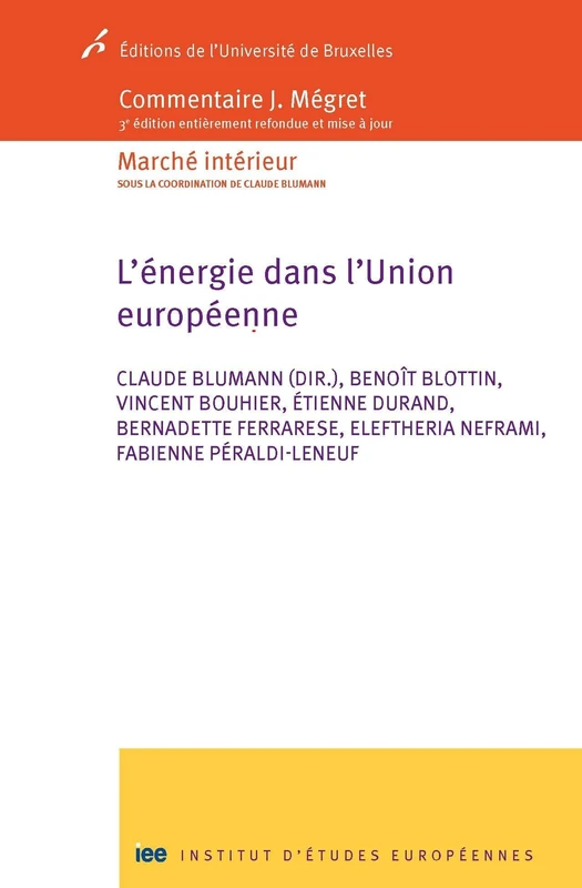 L'énergie dans l'Union européenne: Commentaire Mégret