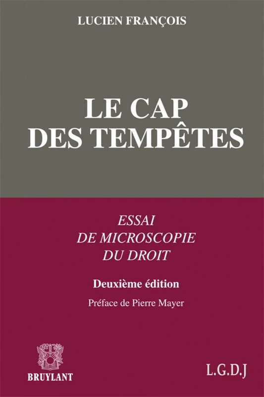 Le cap des tempêtes: Essai de microscopie du droit