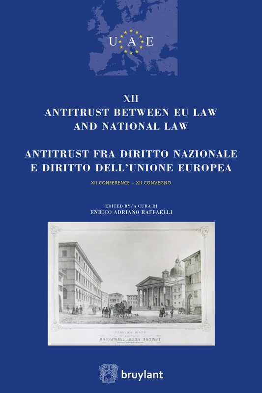 Antitrust Between EU Law and National Law: Tome 13 (Union des Avocats Europeens (UAE)): XII Conference - XII Convegno