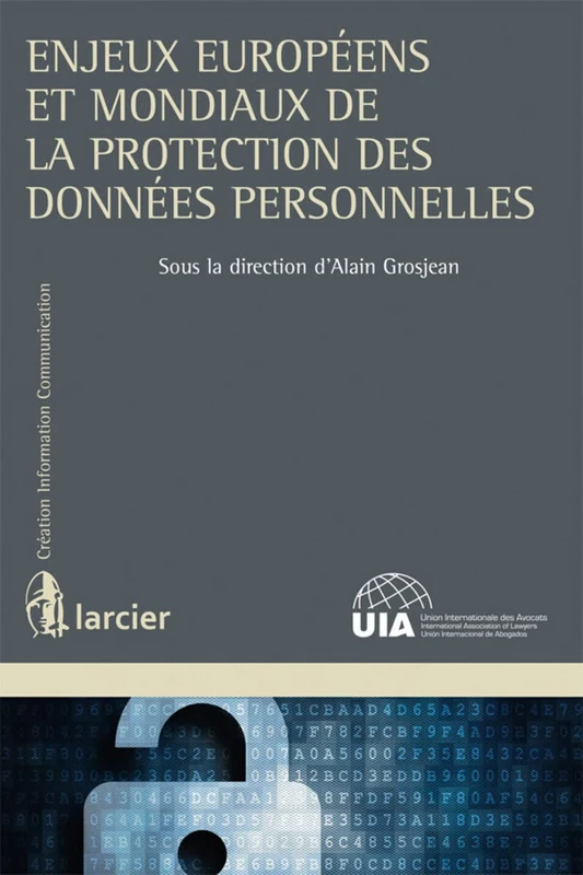 Enjeux Europeens et Mondiaux de la Protection des Donnees Personnelles (Creation Information Communication)