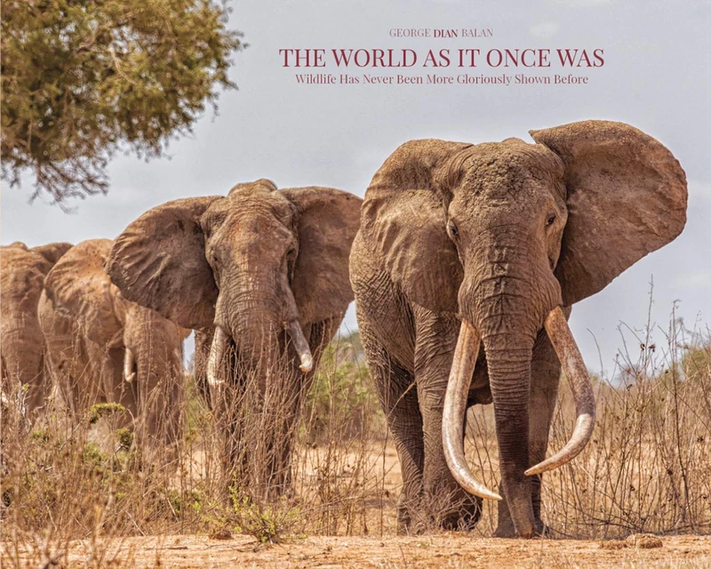 The World As It Once Was - Wildlife Has Never Been More Gloriously Shown Before