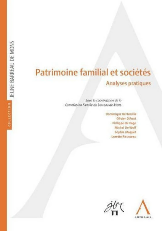 patrimoine familial et sociétés: ANALYSES PRATIQUES