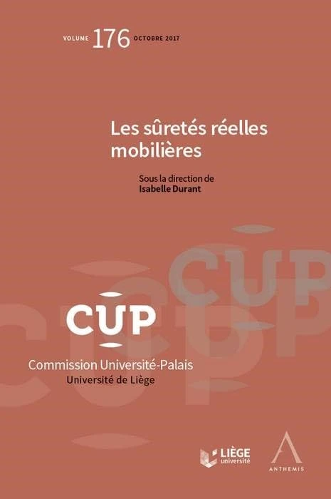 LES SURETES REELLES MOBILIERES