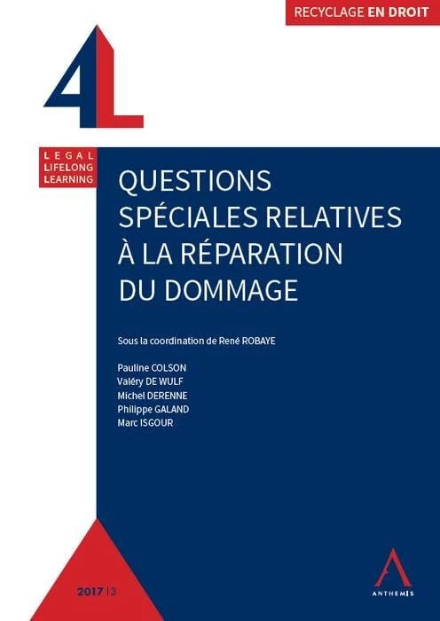 QUESTIONS SPECIALES RELATIVES A LA REPARATION DU DOMMAGE