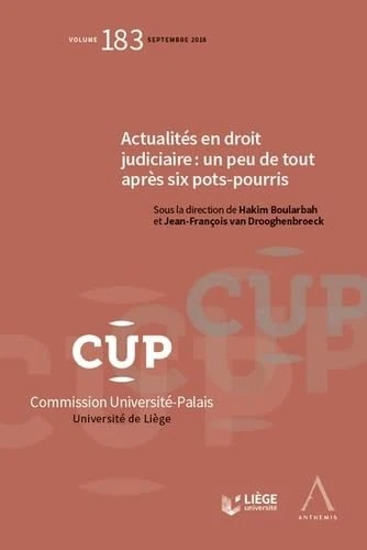 ACTUALITES EN DROIT JUDICIAIRE : UN PEU DE TOUT APRES SIX POTS-POURRIS