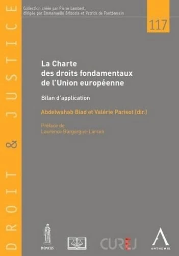 LA CHARTE DES DROITS FONDAMENTAUX DE L UNION EUROPEENNE: Bilan d'application