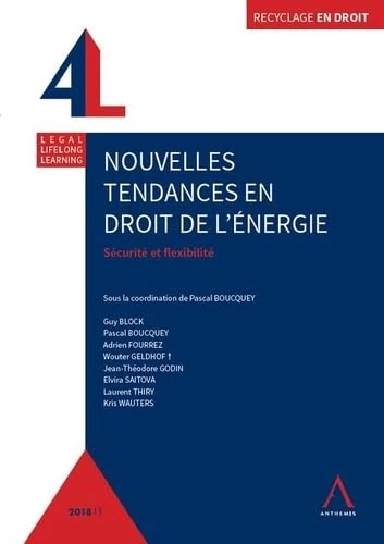 NOUVELLES TENDANCES EN DROIT DE L'ENERGIE: SECURITE ET FLEXIBILITE