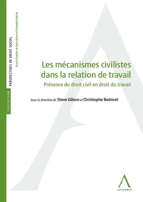 Les mécanismes civilistes dans la relation de travail: Présence du droit civil en droit du travail