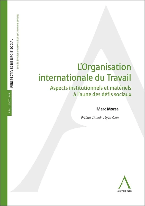 L'organisation internationale du Travail: Aspects institutionnels et matériels à l'aune des défis sociaux - Image 1
