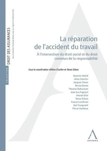 La réparation de l'accident du travail: À l'intersection du droit social et du droit commun de la responsabilité - Image 1