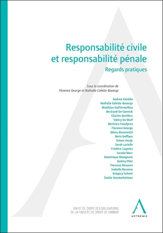 Responsabilité civile et responsabilité pénale: Regards pratiques
