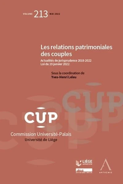 Les relations patrimoniales des couples: Actualités de jurisprudence (Tome 213)