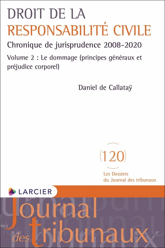 Droit de la responsabilité civile - Chronique de jurisprudence 2008-2020 - Volume 2 (2): Chronique de jurisprudence 2008-2020 Volume 2, Le dommage (principes généraux et préjudice corporel)