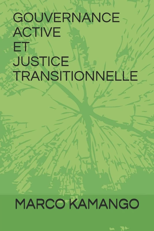 GOUVERNANCE ACTIVE ET JUSTICE TRANSITIONNELLE - Image 1