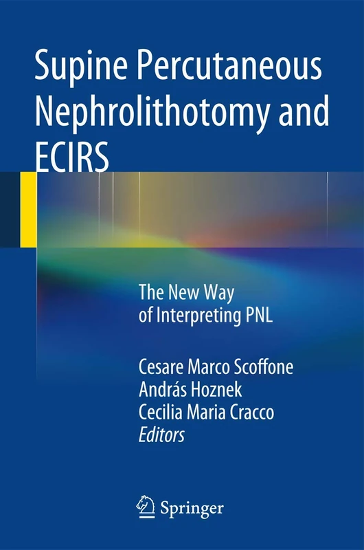 Supine Percutaneous Nephrolithotomy and ECIRS: The New Way of Interpreting PNL