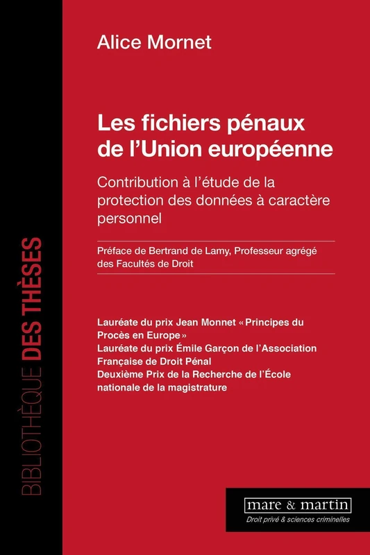 Les fichiers pénaux de l'Union européenne: Contribution à l'étude de la protection des données à caractère personnel