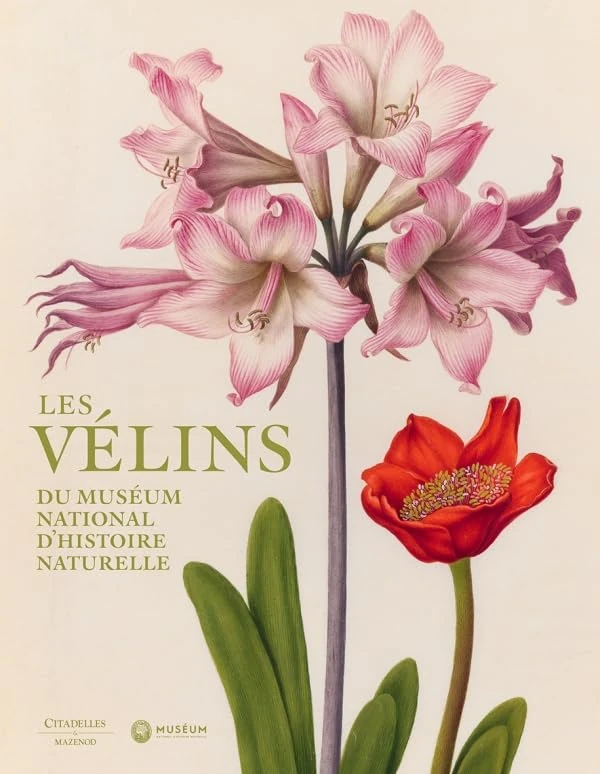 Les velins du museum nationale d'histoire naturelle