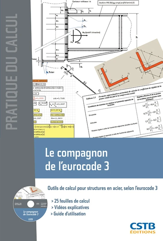 Le compagnon de l'eurocode 3: Outils de calcul pour structures en acier, selon l'eurocode 3. Avec cd-rom. 25 feuilles de calcul. Vidéos explicatives. Guide d'ulisation.
