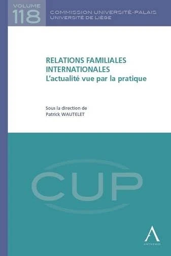 relations familiales internationales - l'actualité vue par la pratique: SOUS LA DIRECTION DE PATRICK WAUTELET