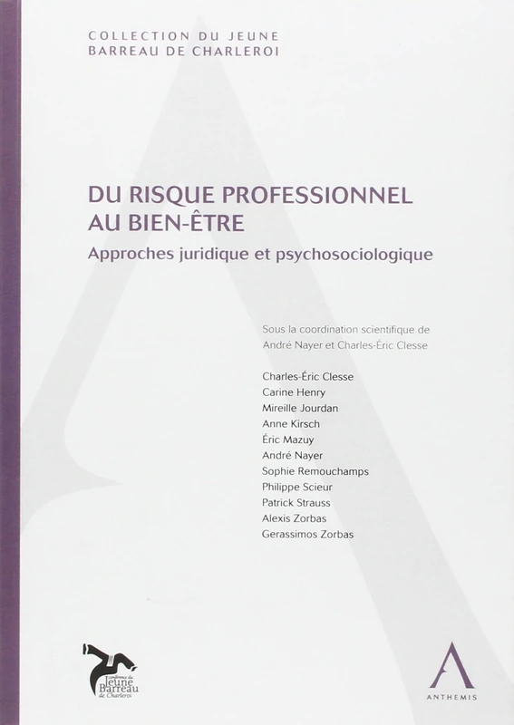 DU RISQUE PROFESSIONNEL AU BIEN-ÊTRE: APPROCHES JURIDIQUE ET PSYCHOSOCIOLOGIQUE