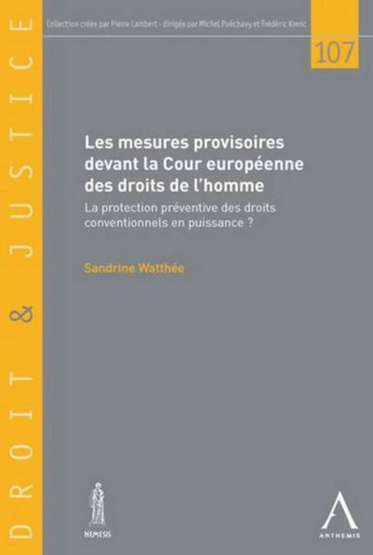 les mesures provisoires devant la cour européenne des droits de l'homme: LA PROTECTION PRÉVENTIVE DES DROITS CONVENTIONNELS EN PUISSANCE ?