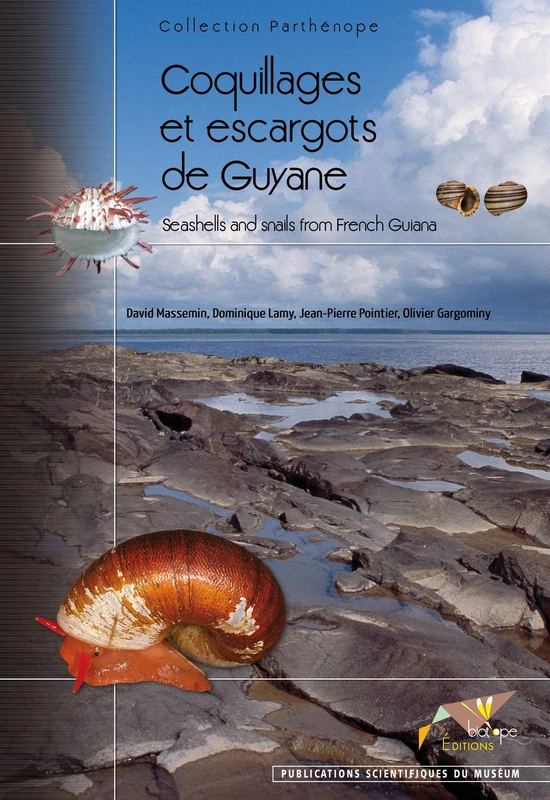 COQUILLAGES ET ESCARGOTS DE GUYANE. SEASHELLS AND SNAILS FROM FRECH GUIANA