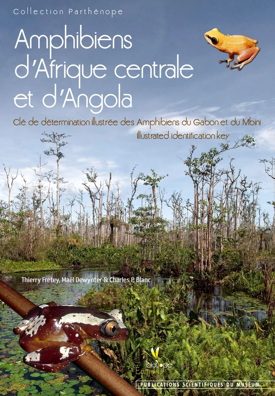 AMPHIBIENS D'AFRIQUE CENTRALE ET D'ANGOLA: Clé de détermination illustrée des amphibiens du Gabon et du Mbini - Image 1