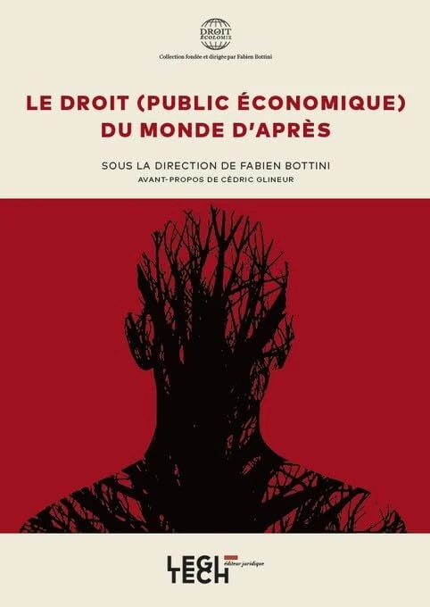 Le droit (public économique) du monde d'après (Tome 6)