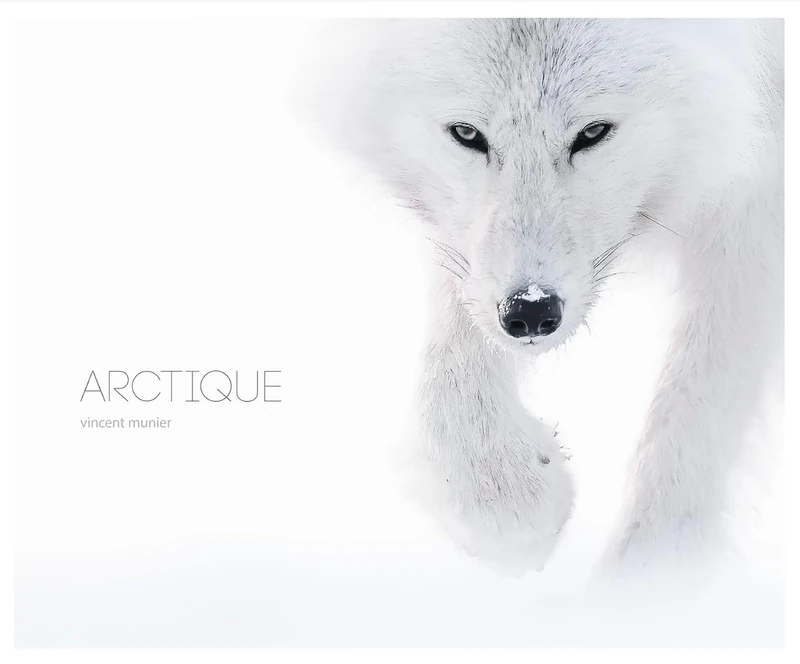 Arctique