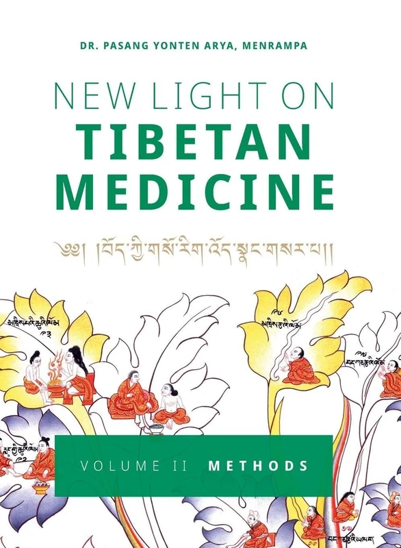 New Light on Tibetan Medicine: Volume II - Methods: 2