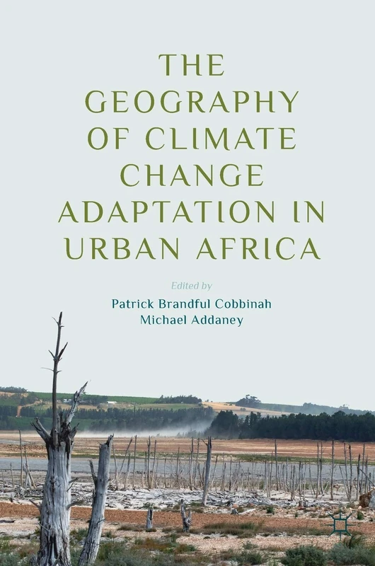 The Geography of Climate Change Adaptation in Urban Africa