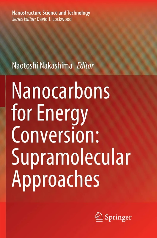 Nanocarbons for Energy Conversion: Supramolecular Approaches (Nanostructure Science and Technology)