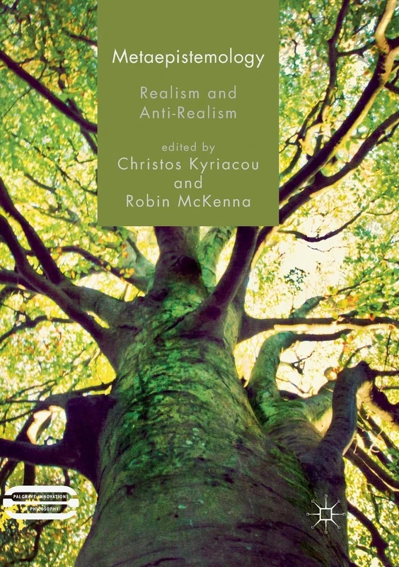 Metaepistemology: Realism and Anti-Realism (Palgrave Innovations in Philosophy)