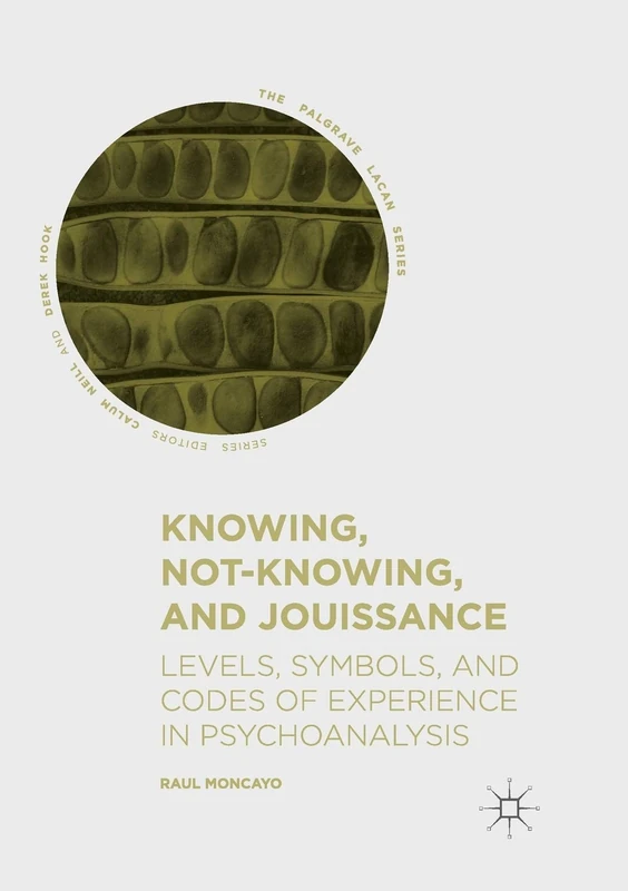 Knowing, Not-Knowing, and Jouissance: Levels, Symbols, and Codes of Experience in Psychoanalysis (The Palgrave Lacan Series)