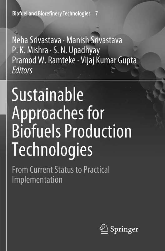 Sustainable Approaches for Biofuels Production Technologies: From Current Status to Practical Implementation: 7 (Biofuel and Biorefinery Technologies, 7)