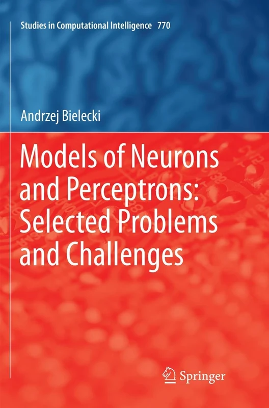 Models of Neurons and Perceptrons: Selected Problems and Challenges: 770 (Studies in Computational Intelligence, 770)