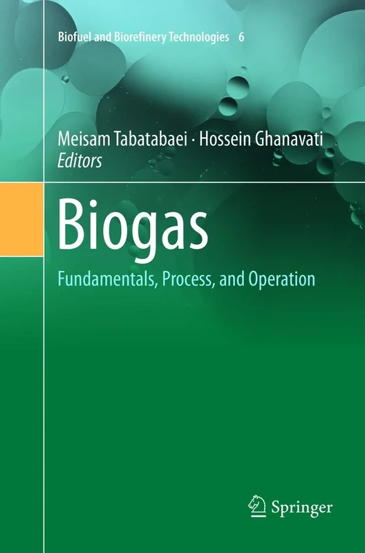 Biogas: Fundamentals, Process, and Operation: 6 (Biofuel and Biorefinery Technologies, 6)