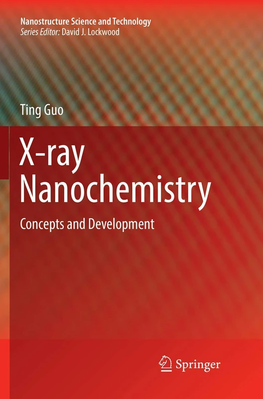 X-ray Nanochemistry: Concepts and Development (Nanostructure Science and Technology)