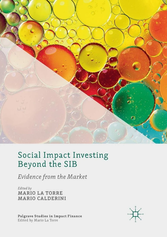 Social Impact Investing Beyond the SIB: Evidence from the Market (Palgrave Studies in Impact Finance)