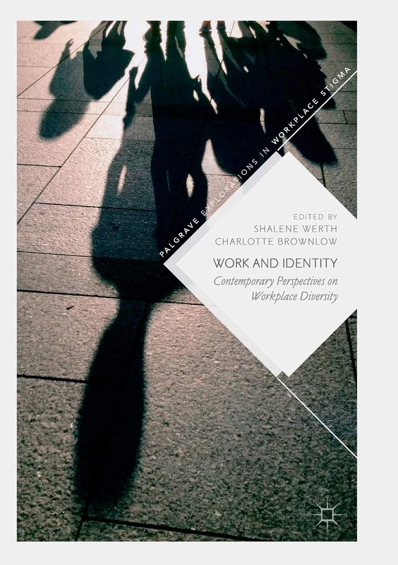 Work and Identity: Contemporary Perspectives on Workplace Diversity (Palgrave Explorations in Workplace Stigma)