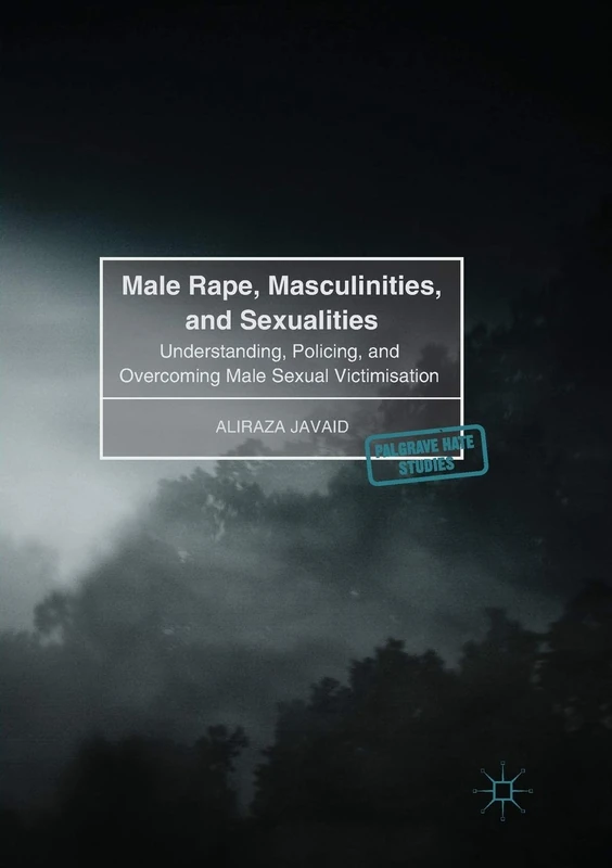 Male Rape, Masculinities, and Sexualities: Understanding, Policing, and Overcoming Male Sexual Victimisation (Palgrave Hate Studies)
