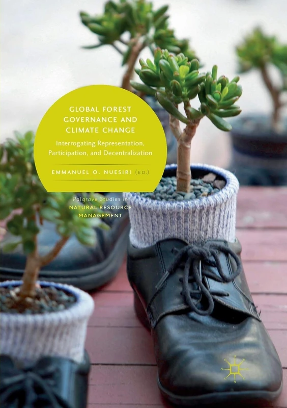 Global Forest Governance and Climate Change: Interrogating Representation, Participation, and Decentralization (Palgrave Studies in Natural Resource Management)