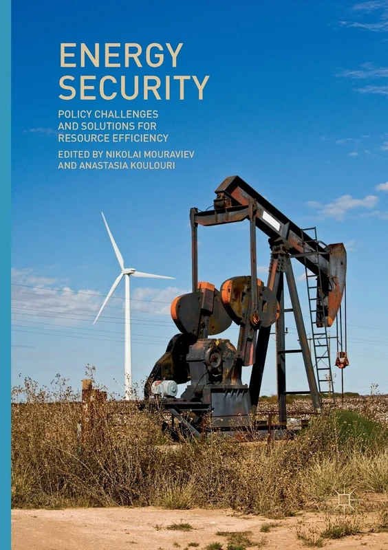 Energy Security: Policy Challenges and Solutions for Resource Efficiency